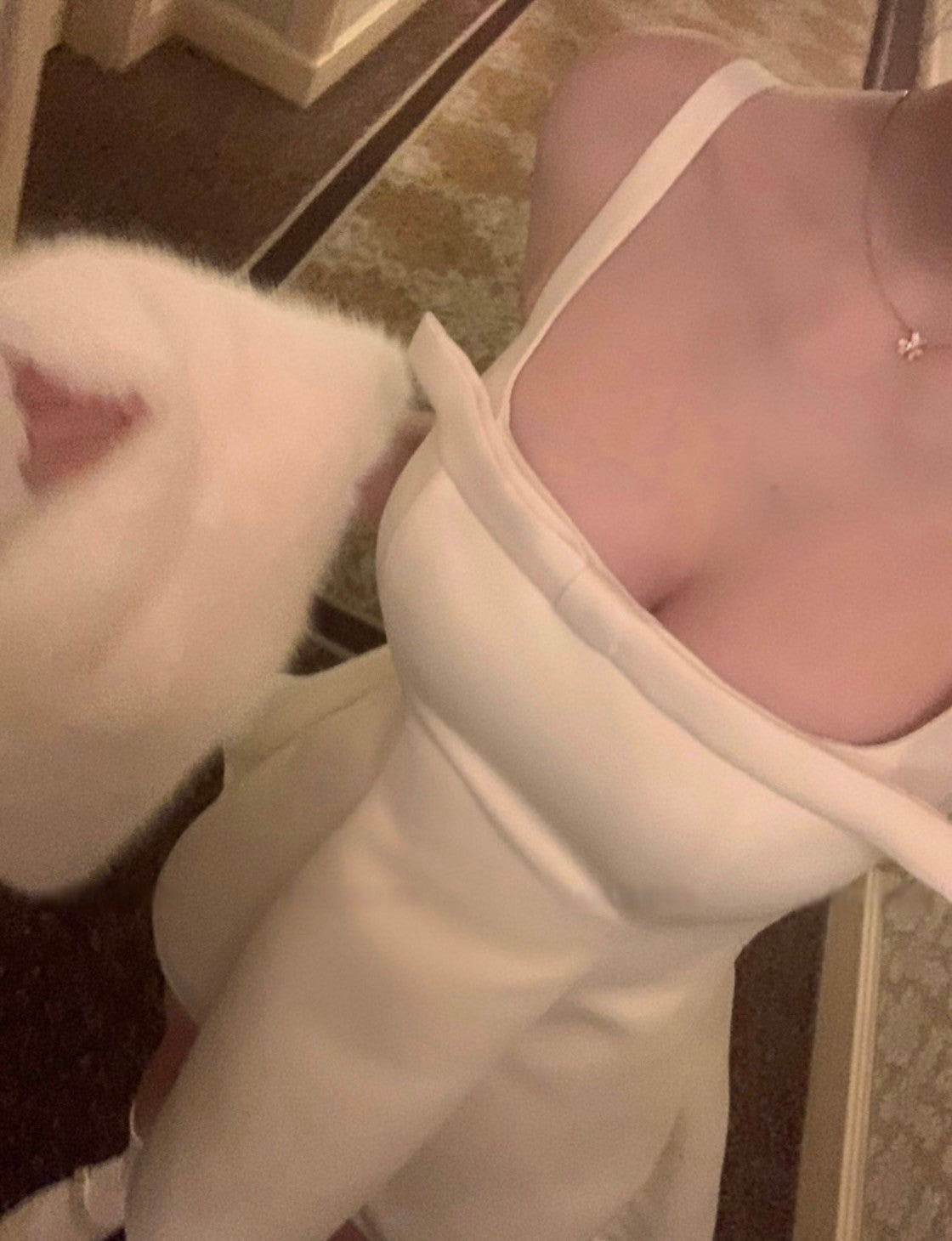 Mar. 曼妙天鵝 法式氣質蝴蝶結收腰連身裙 黑/白